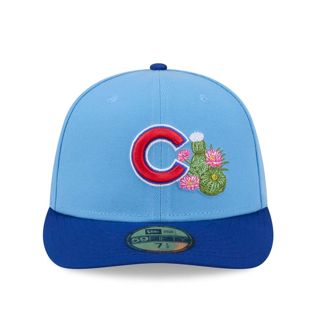 Chicago Cubs Spring Training 2026 59Fifty Fitted MLB Vintage Snapback Baseball Cap Adjustable Streetwear Hat