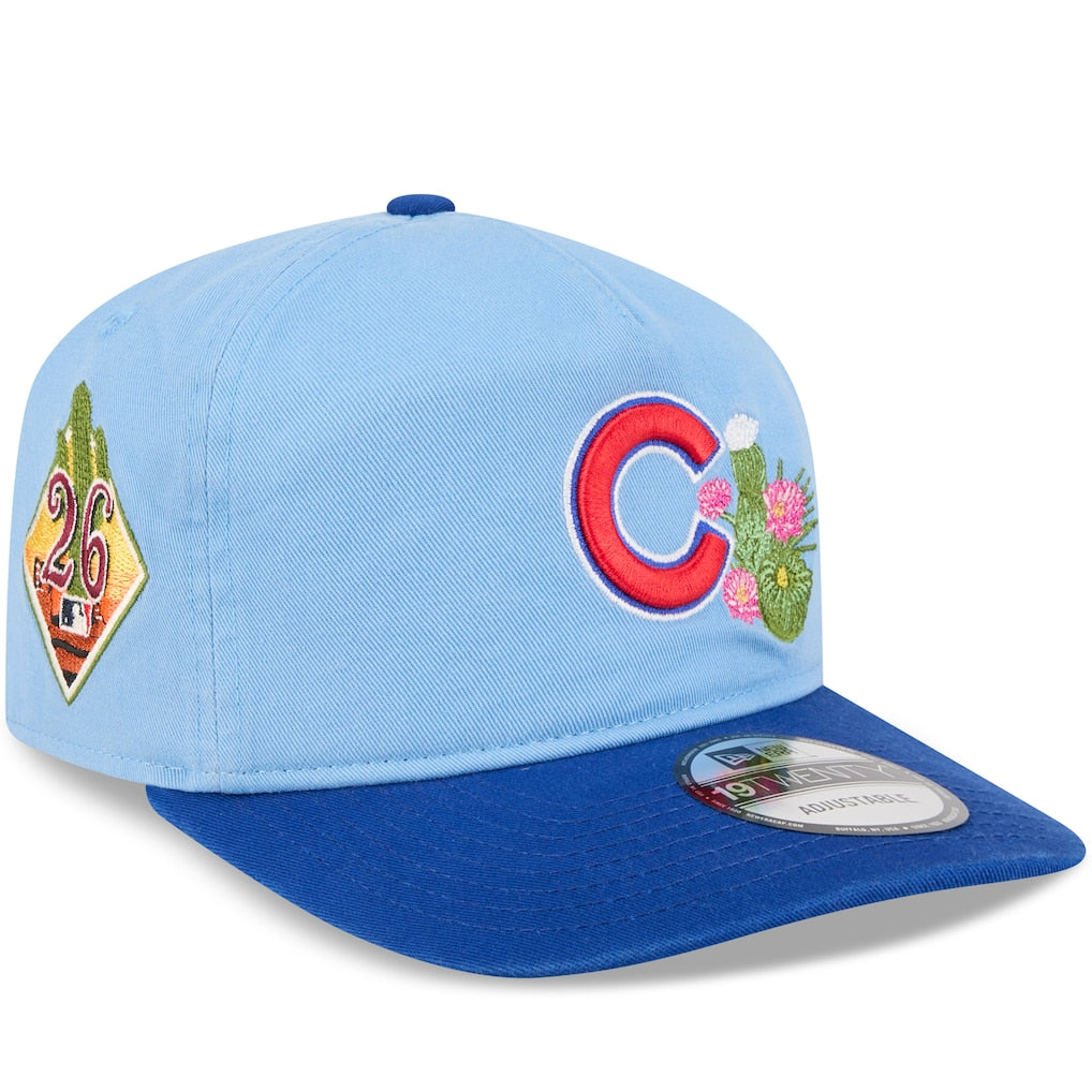 Chicago Cubs 19Twenty Spring Training MLB Vintage Snapback Baseball Cap Adjustable Streetwear Hat