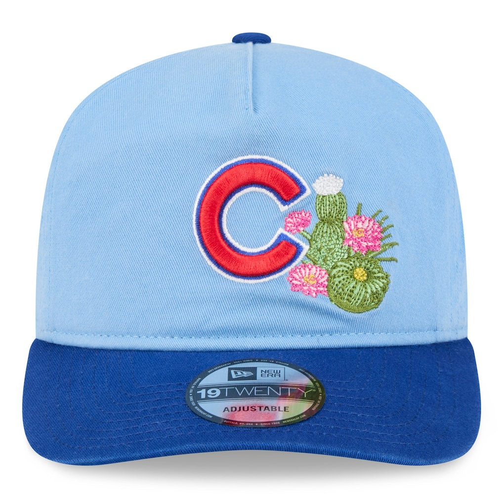 Chicago Cubs 19Twenty Spring Training MLB Vintage Snapback Baseball Cap Adjustable Streetwear Hat